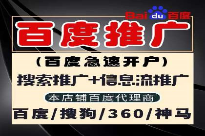 搜索引擎营销（SEM）的精准投放技巧案例